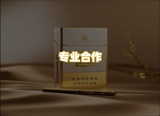 专业合作